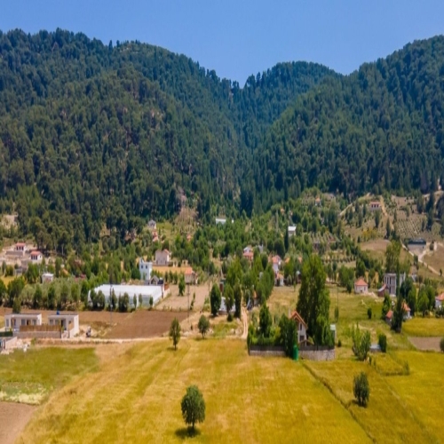 SARIBELEN